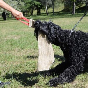 Тряпка-кусалка из джута для дрессировки черного терьера «Grip & Pull»